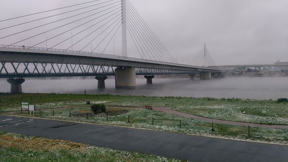 Arkawa river cleanup (Minami Sunamachi) March 29, 2020